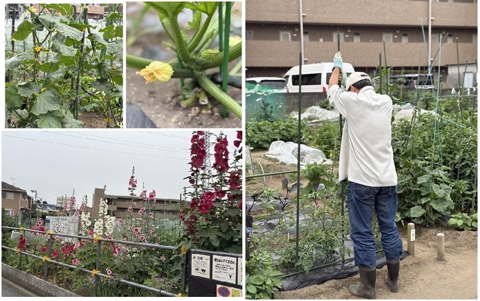市民農園の写真