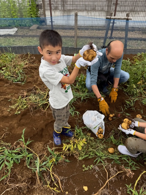男児　じゃがいも収穫の様子