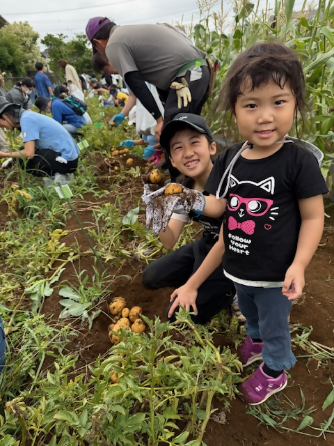 乳児　じゃがいも収穫の様子