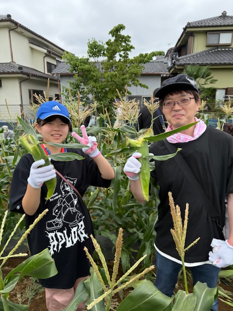 親子　トウモロコシ収穫の様子