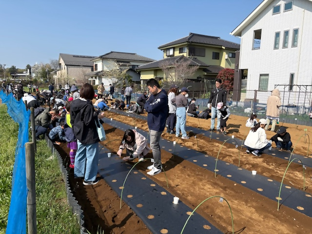 参加者が作業をしている様子