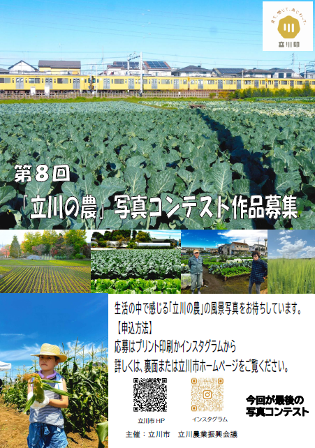 チラシ