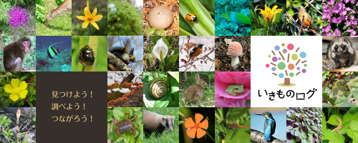 「いきものログ」のバナー画像です。（外部リンク・新しいウィンドウで開きます）