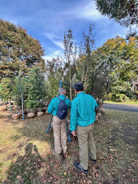 写真：植木の部の審査中