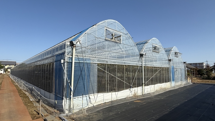写真:ビニールハウス