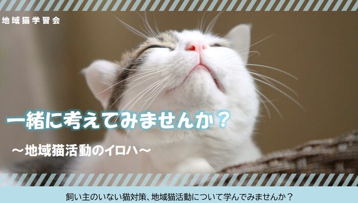 地域猫学習講座チラシ1