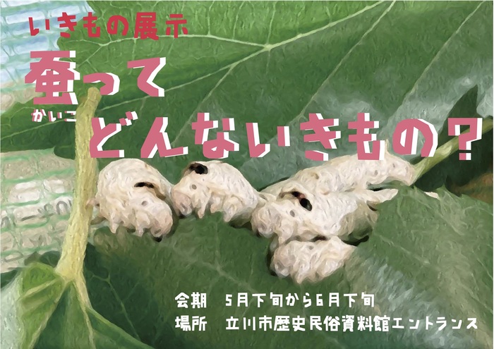 いきもの展示「蚕ってどんないきもの？」ポスター