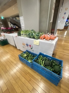 前回の様子2