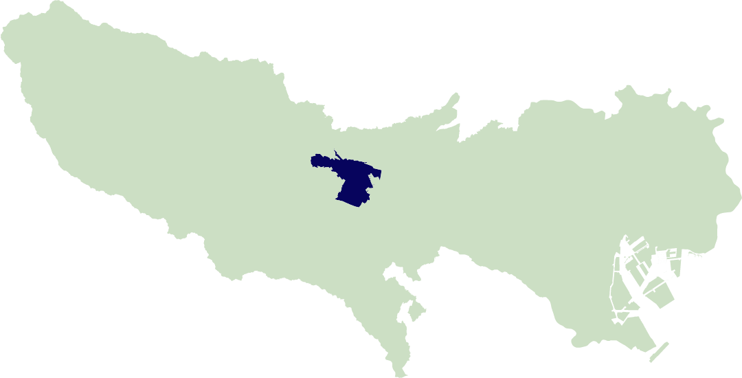 立川市は東京都の多摩地域中部に位置しています